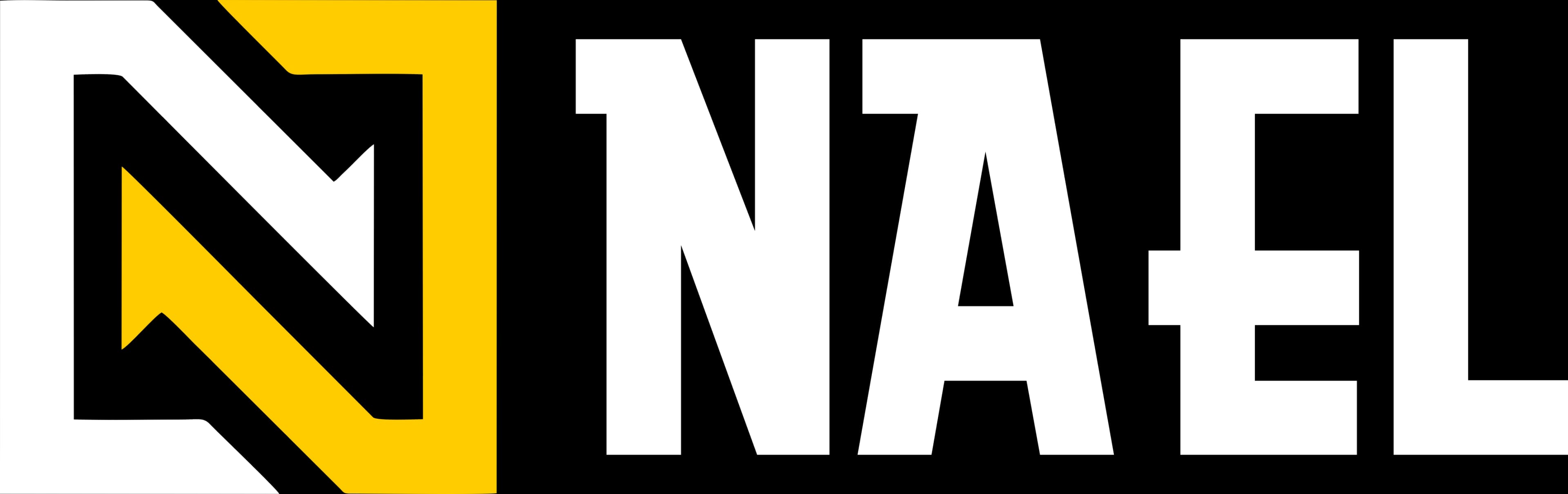 NAEL Logo